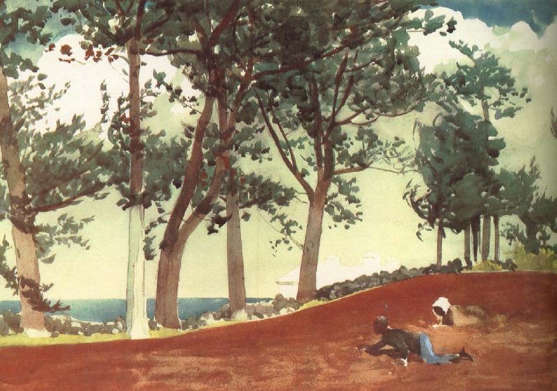 Winslow Homer Houses and trees Sweden oil painting art